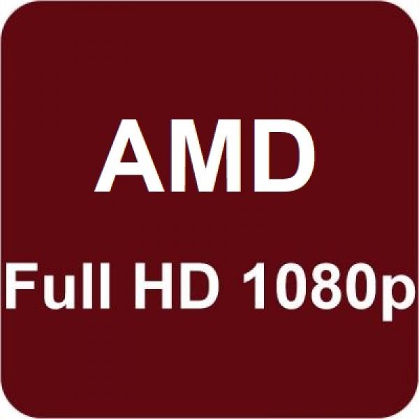 Integrada AMD Full HD 1080p